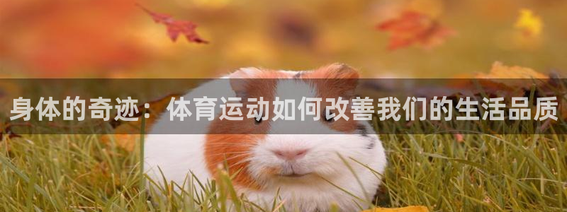 678体育官网