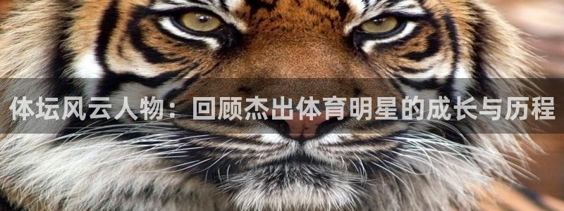 678体育官网地址