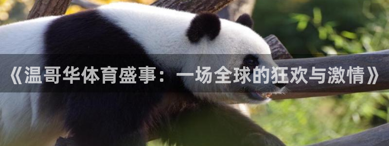 皇冠678体育