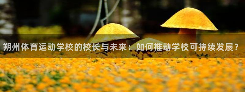 678体育官网地址