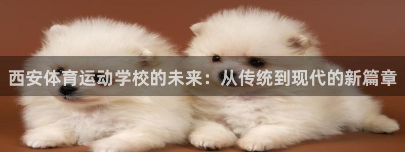 678体育app：西安体育运动学校的未来：从传统到现代的新篇章