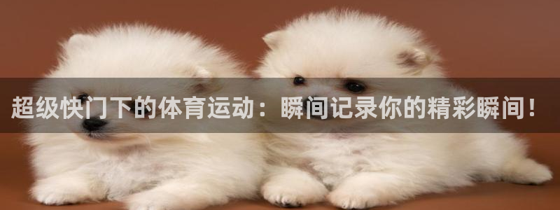 678体育知识：超级快门下的体育运动：瞬间记录你的精彩瞬间！