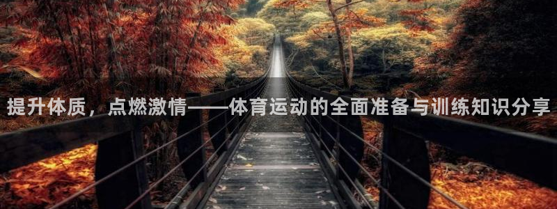678体育app
