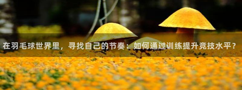 678体育官网