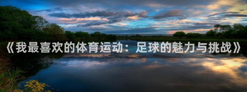 皇冠678体育：《我最喜欢的体育运动：足球的魅力与挑战》