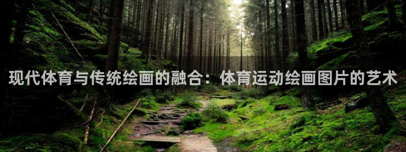 678体育官网地址：现代体育与传统绘画的融合：体育运动绘画图片的艺术