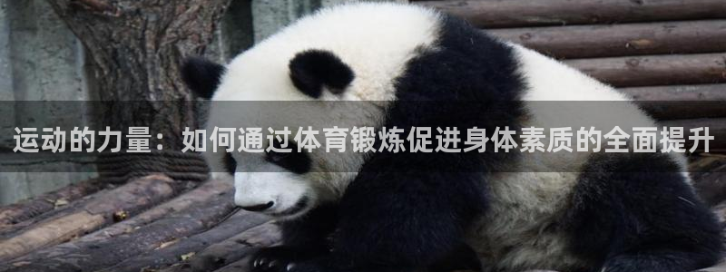 678体育官网地址：运动的力量：如何通过体育锻炼促进身体素质的全面提升