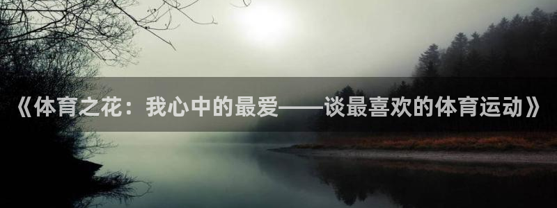 678体育：《体育之花：我心中的最爱——谈最喜欢的体育运动》
